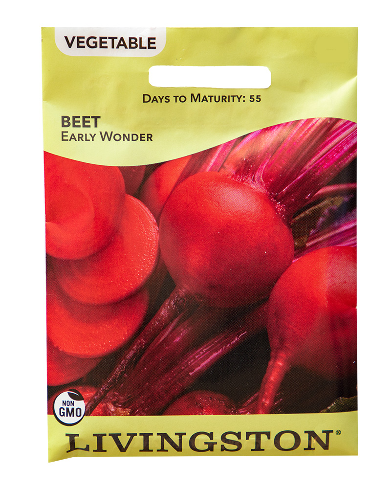 Beet Early Wonder