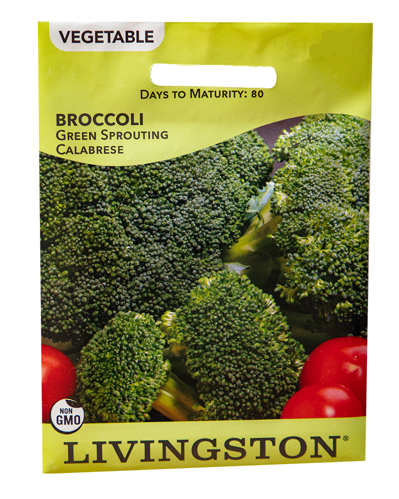 Broccoli Green Sprouting Calabrese