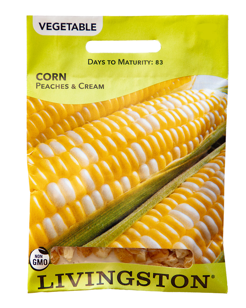 Corn Peaches & Cream