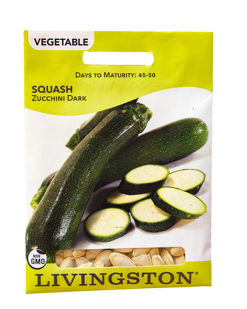 Squash Zucchini Dark