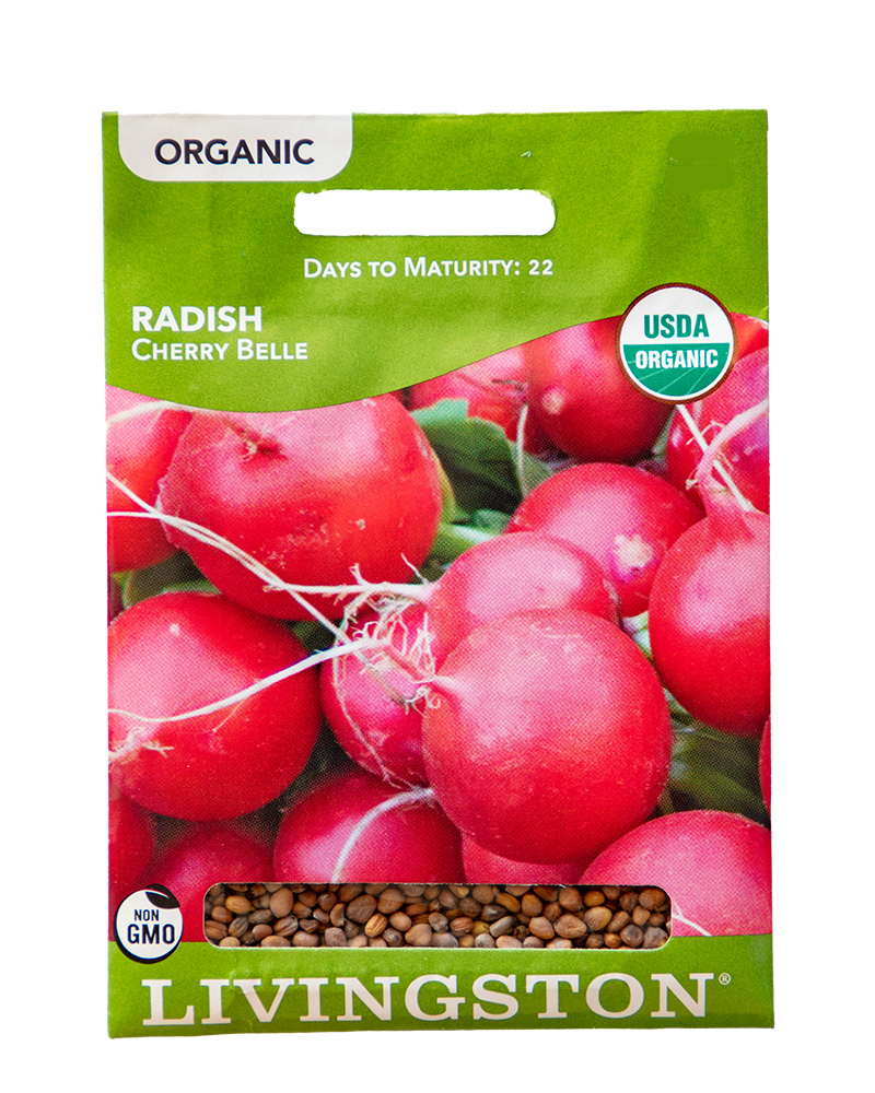 Radish Cherry Belle Organic