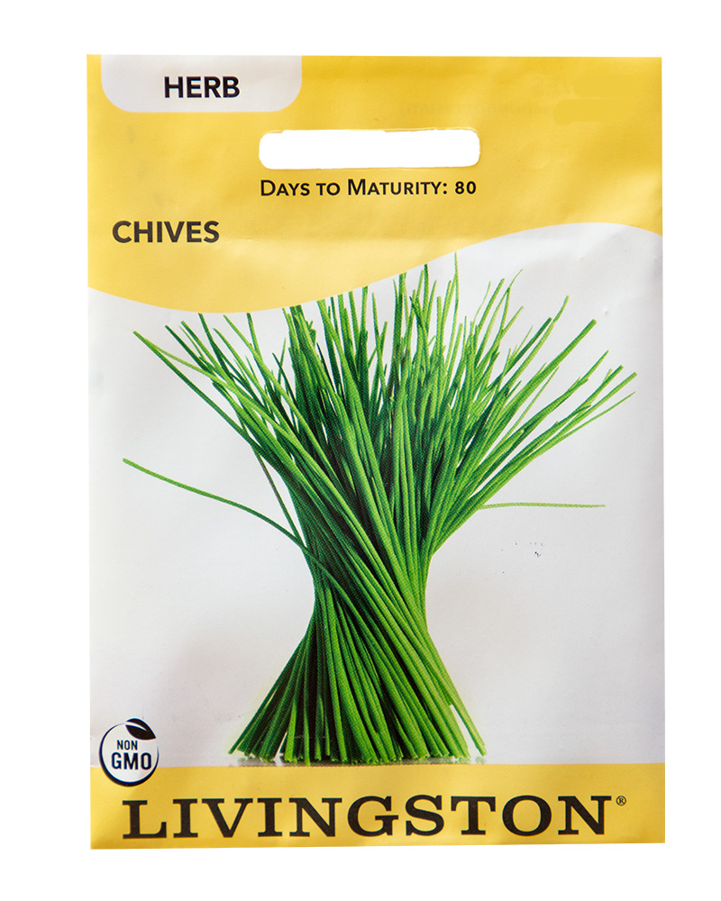 Chives