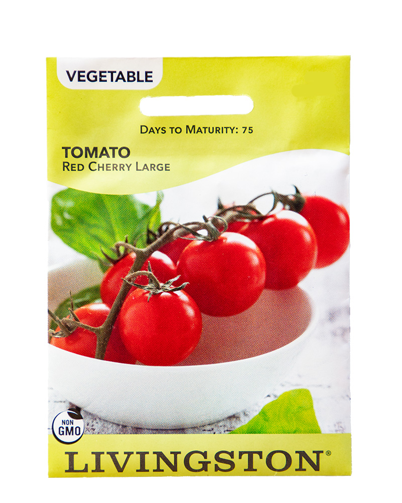 Tomato Red Cherry Large