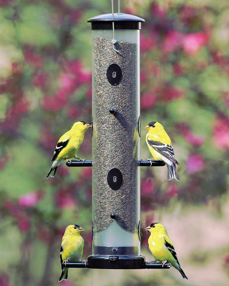 Seed Tube Finch Feeder EcoClean Medium