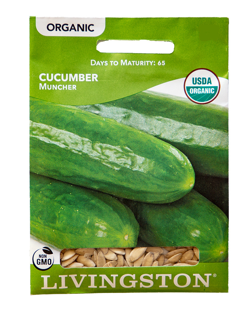 Cucumber Muncher Organic