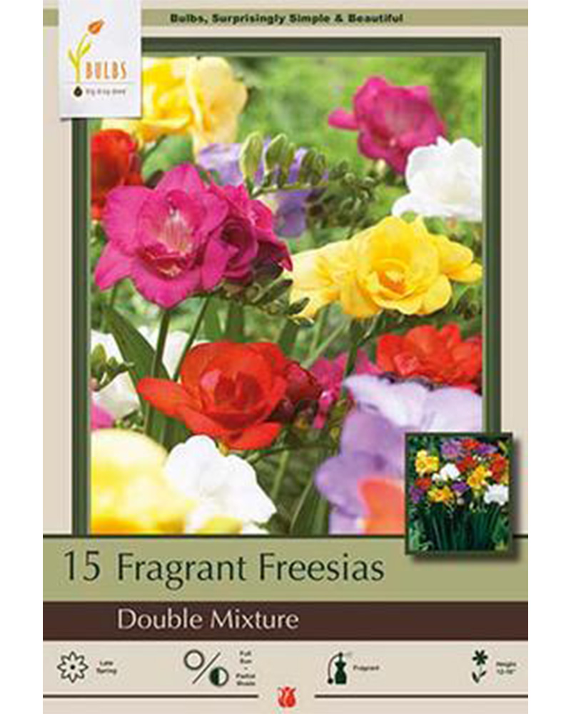 Freesia Double Mixture