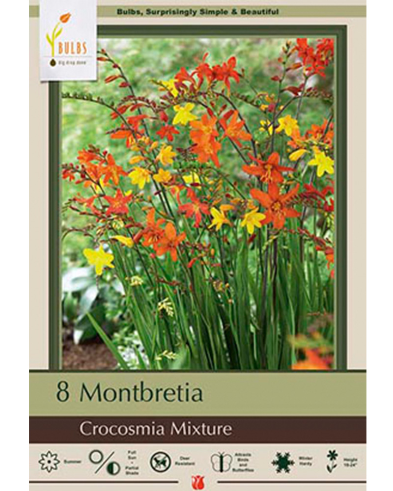 Crocosmia Mixture