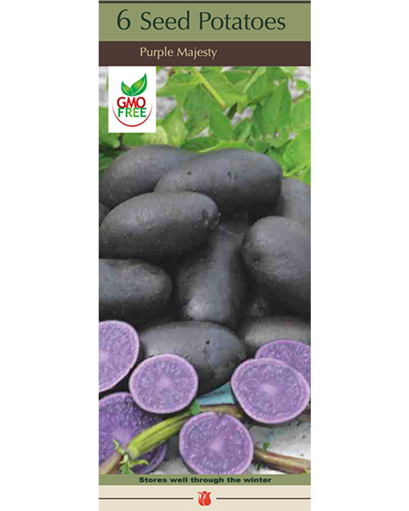 Seed Potato Purple Majesty