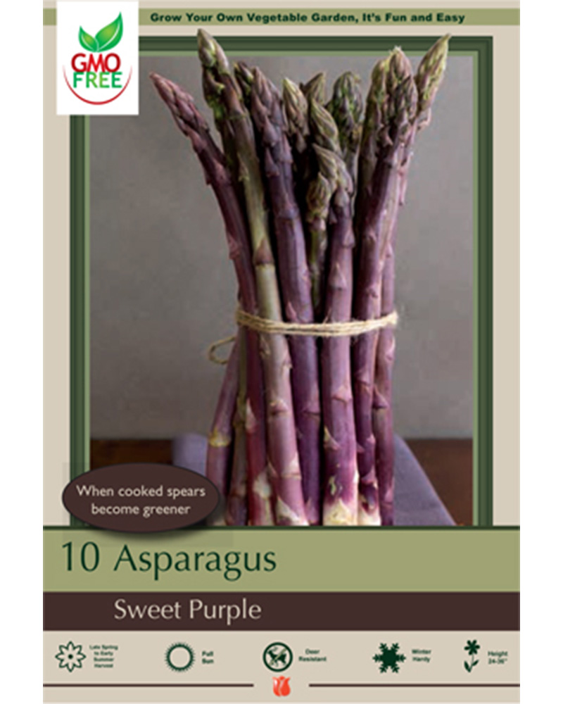 Asparagus Sweet Purple