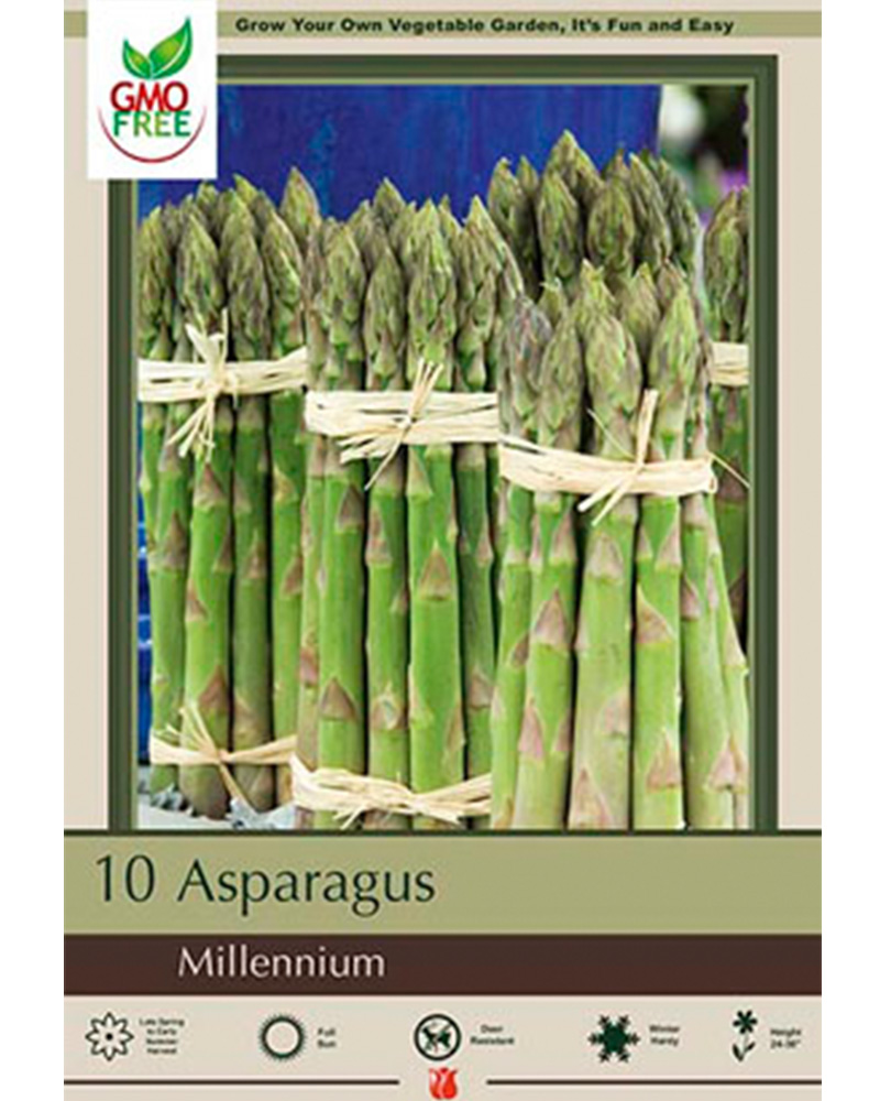 Asparagus Millenium
