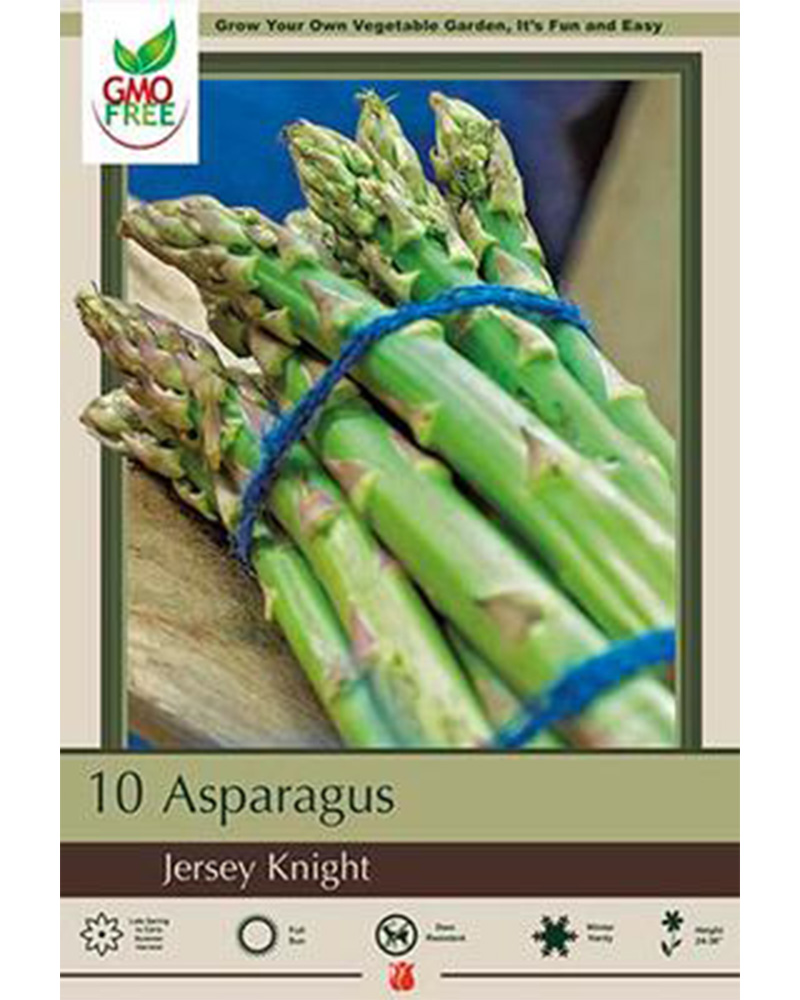 Asparagus Jersey Knight