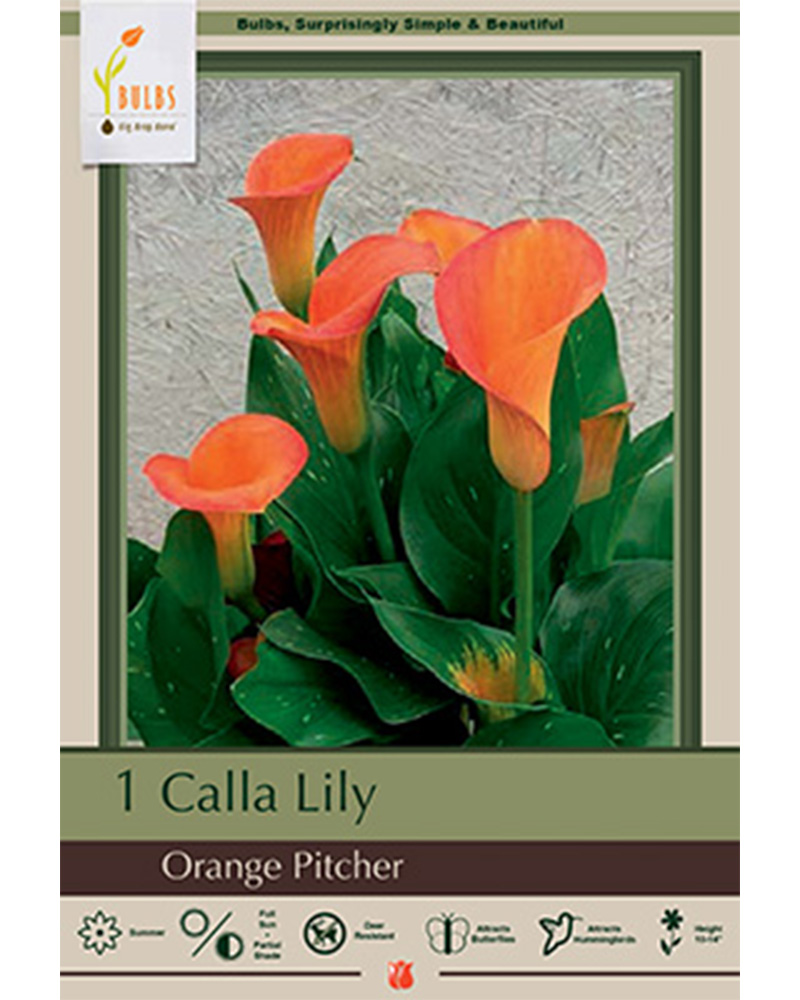 Calla Lily Orange Pitcher