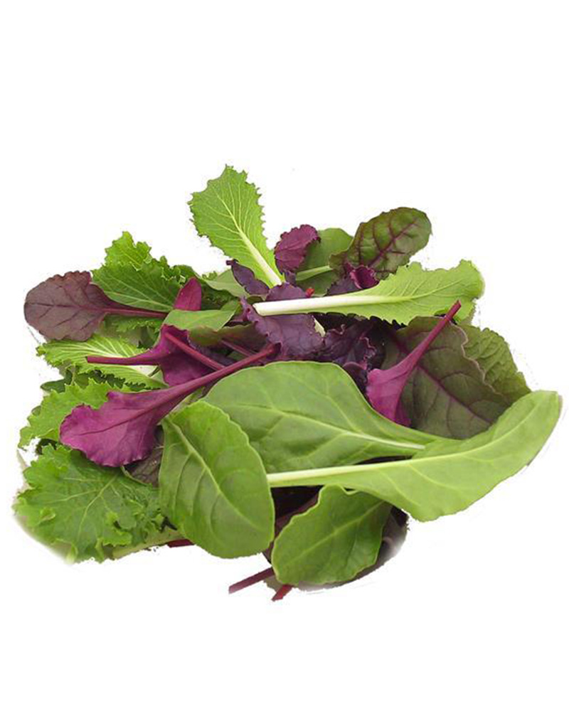 Lettuce Sweet Salad Blend 6 Pack