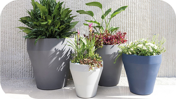 Self-Watering Pots