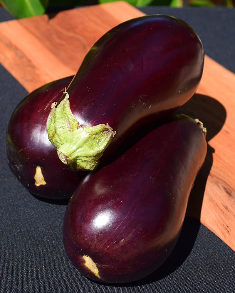 Eggplant Organic 6 Pack