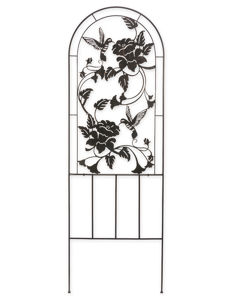 Hummingbird Trellis