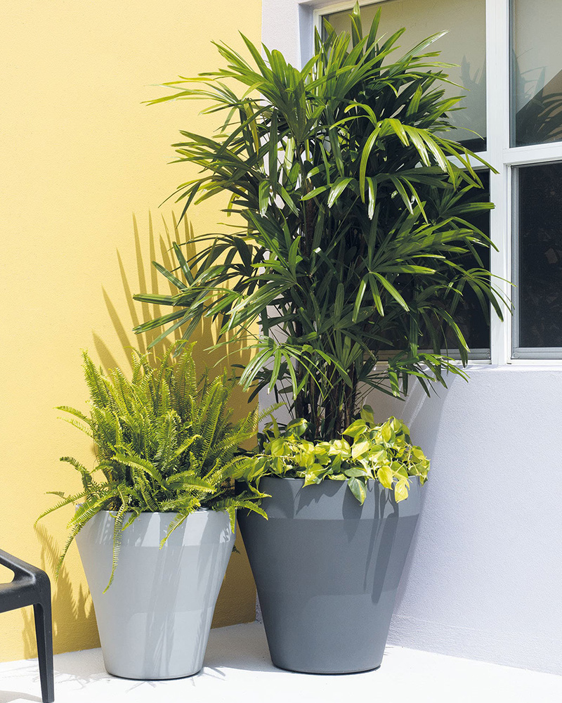 Crescent Self-Watering Rim Pot Black 22\"