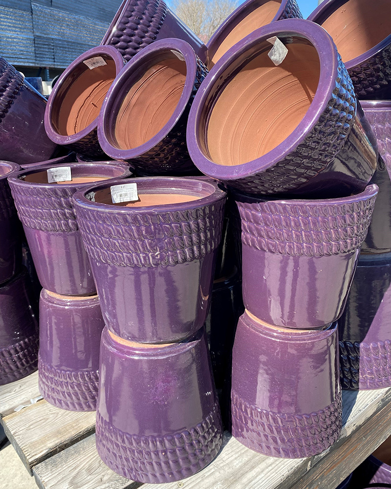 Nelson Pot Purple 14"