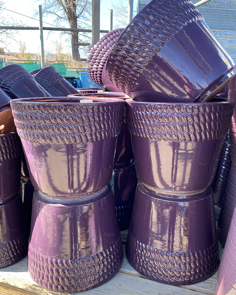 Nelson Pot Purple 9"