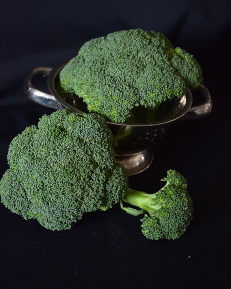Broccoli Destiny 4"