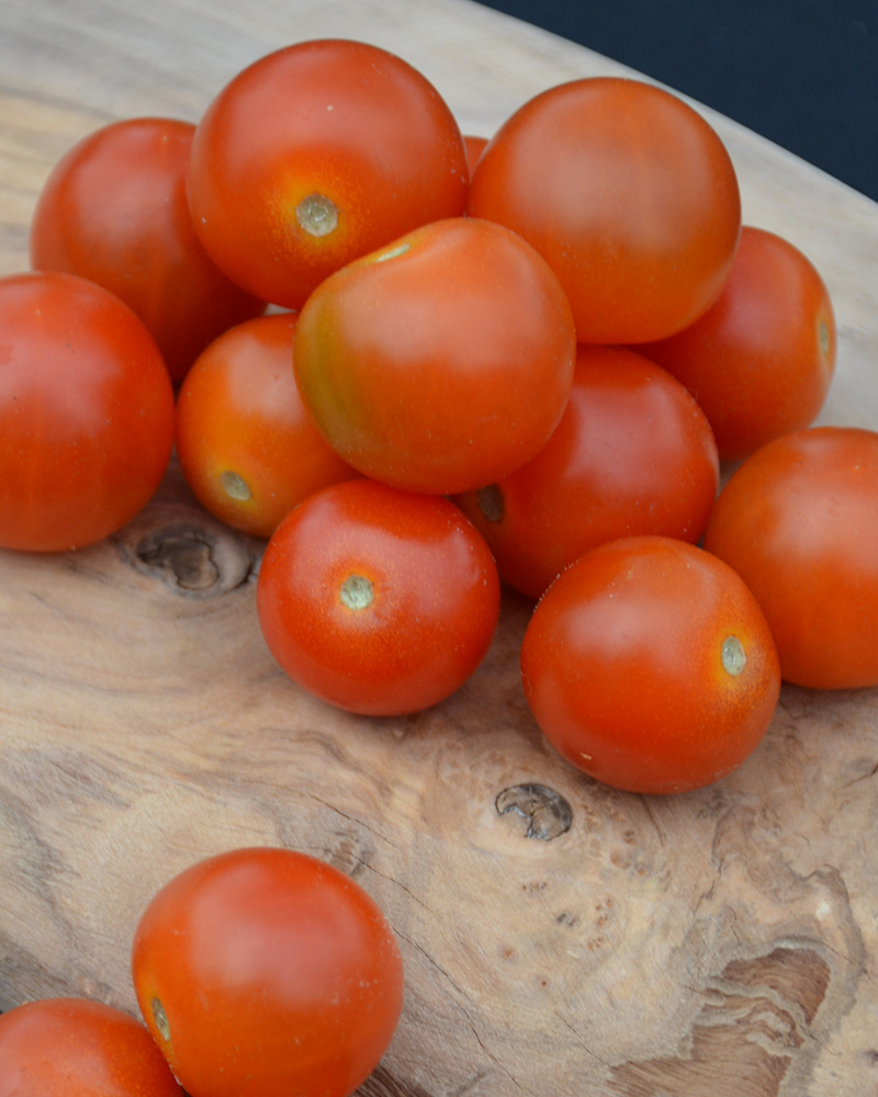 Tomato Super Sweet 100 4"