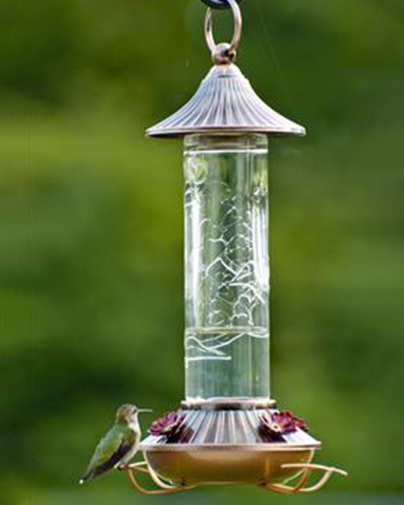 Hummingbird Feeder Embossed Glass