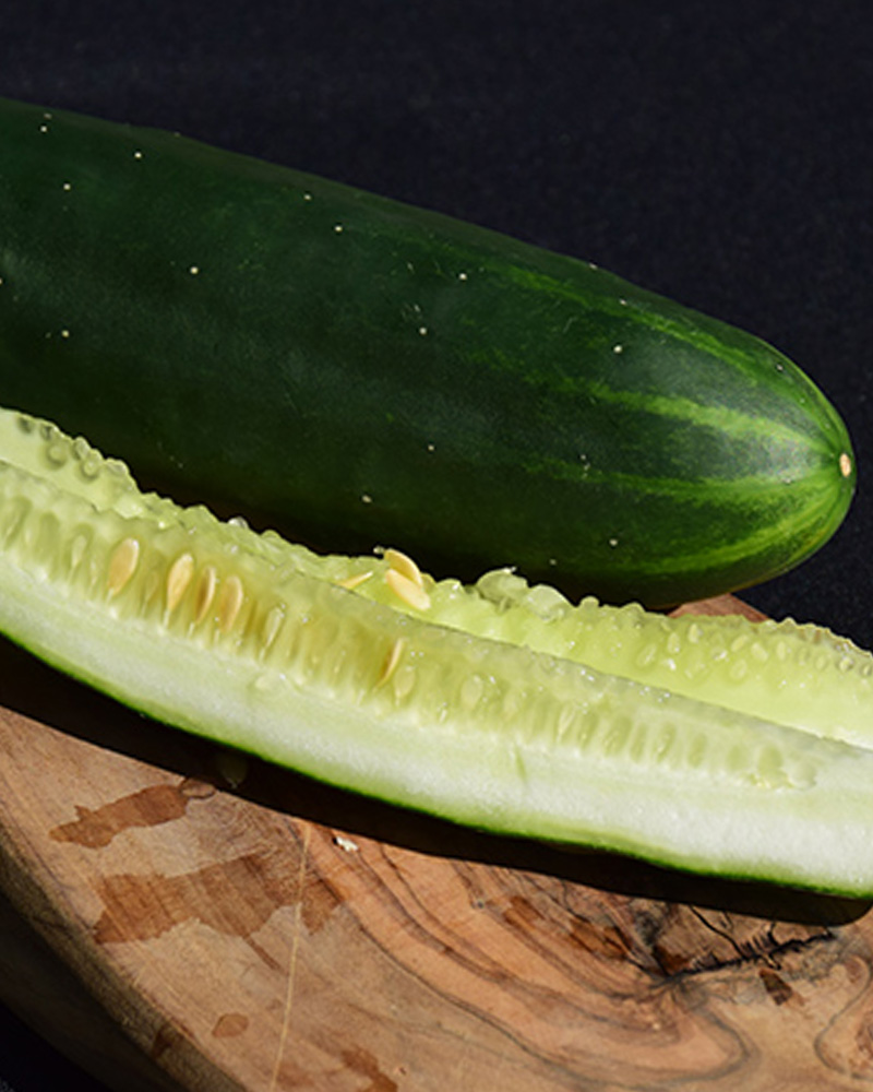 Cucumber Marketmore 76 4"