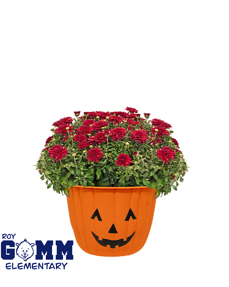 Roy Gomm PFA - Garden Fund Mini-Mum