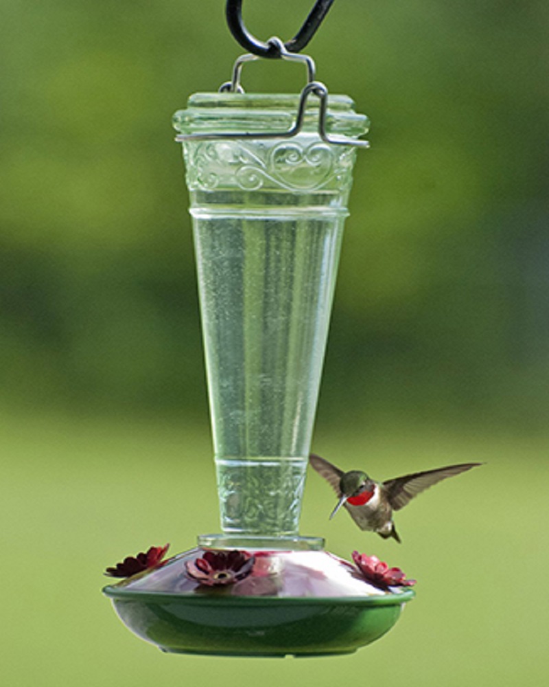 Departments - Torchiere Hummingbird Feeder 8 oz