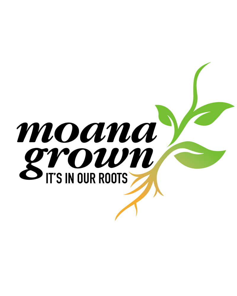 Kamome� White Kale 4\"<br><i>Brassica oleracea var. acephala \'Kamome White\'</br></i>