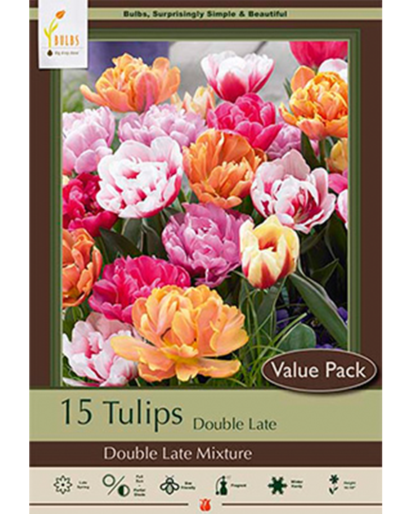 Tulip Double Late Mix Value Pack