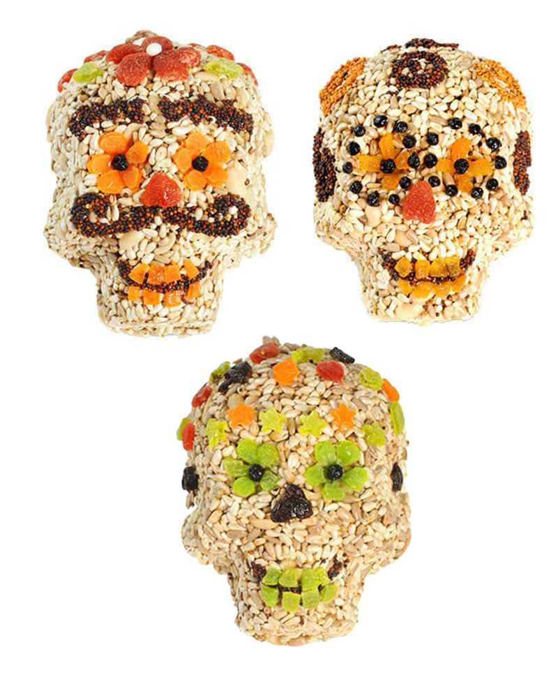 Sugar Skull Seed Character