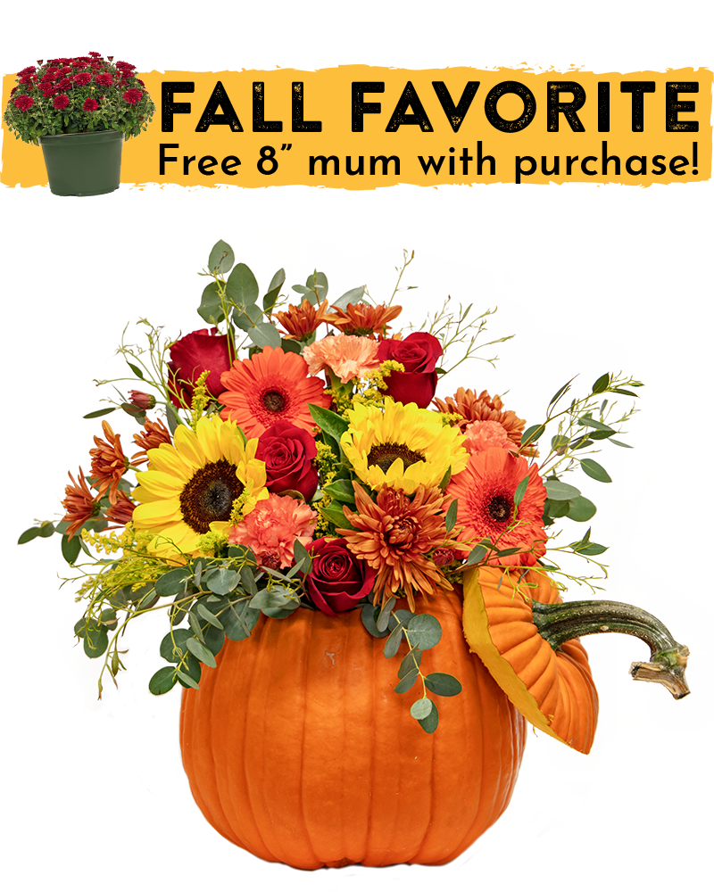 Pumpkin Spice Floral Arrangement from $50-$85