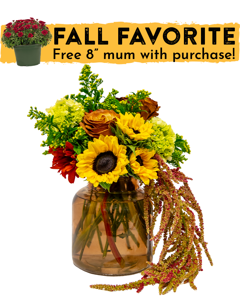 Harvest Glow Floral Arrangement from $75-$99