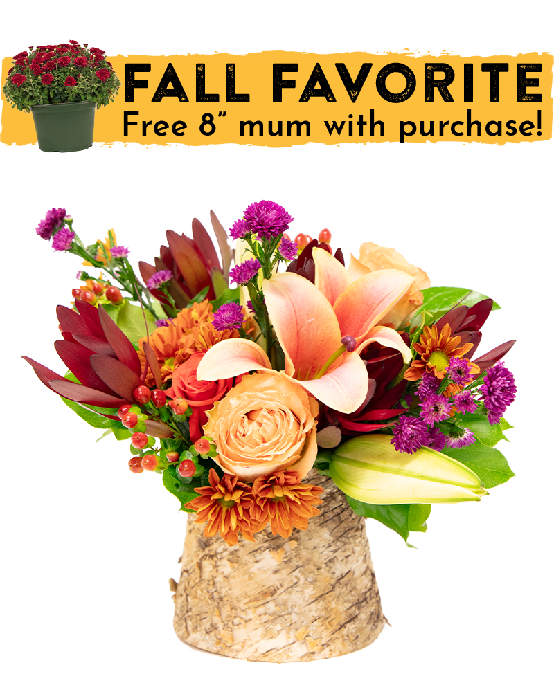 Enchanted Flora Arrangement from $65-$85