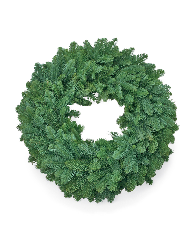 Moana Wreath Plain Noble Fir 12"