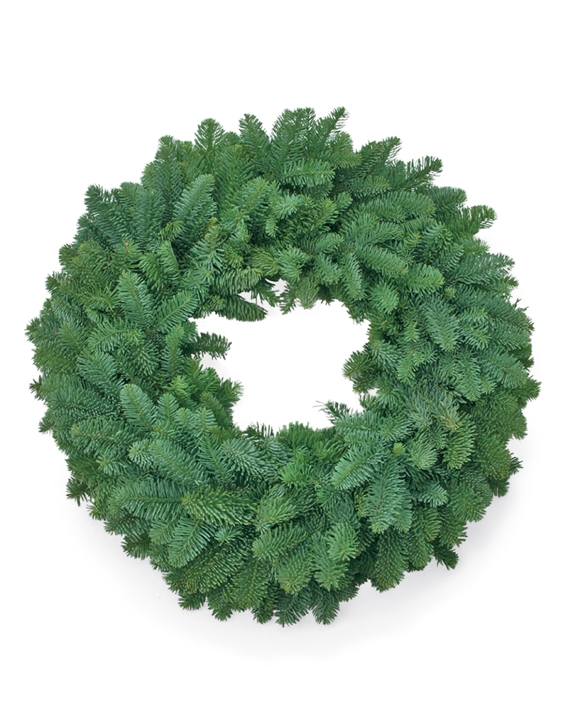 Moana Wreath Plain Noble Fir 16"