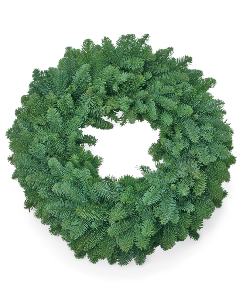 Moana Wreath Plain Noble Fir 20"