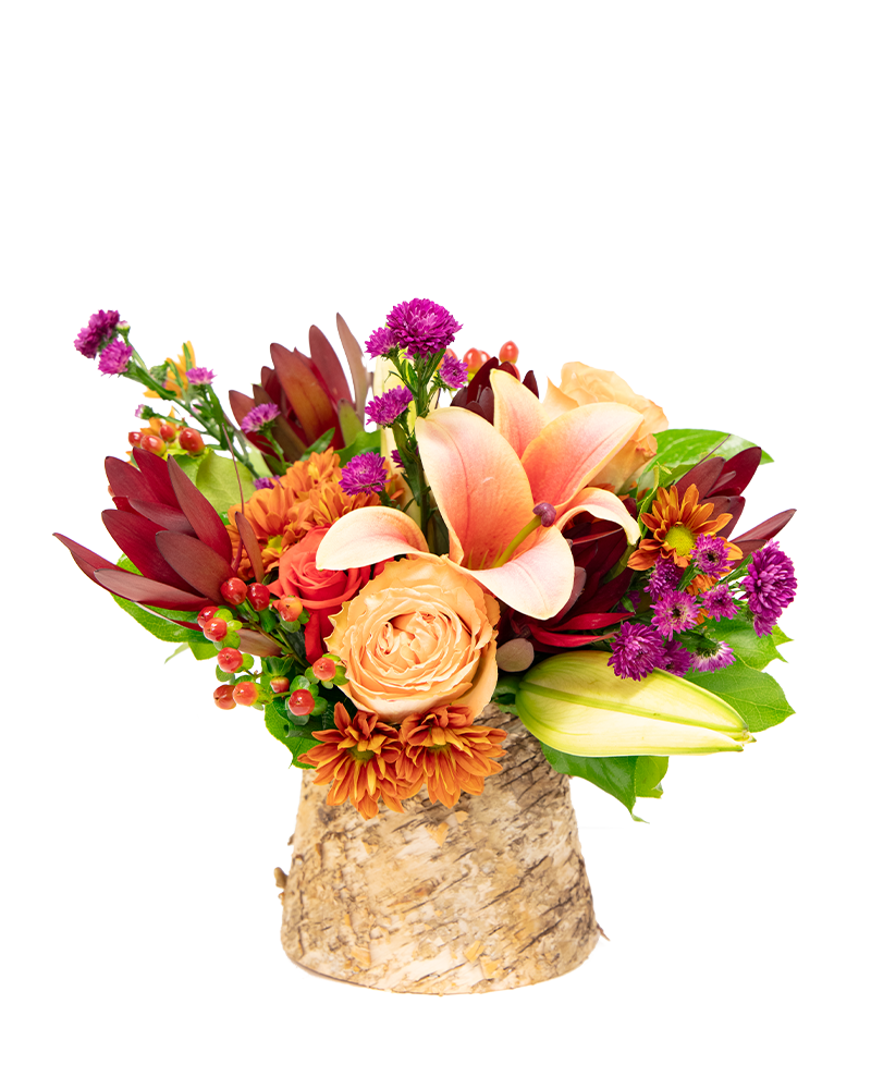 Enchanted Flora Arrangement from $65-$85