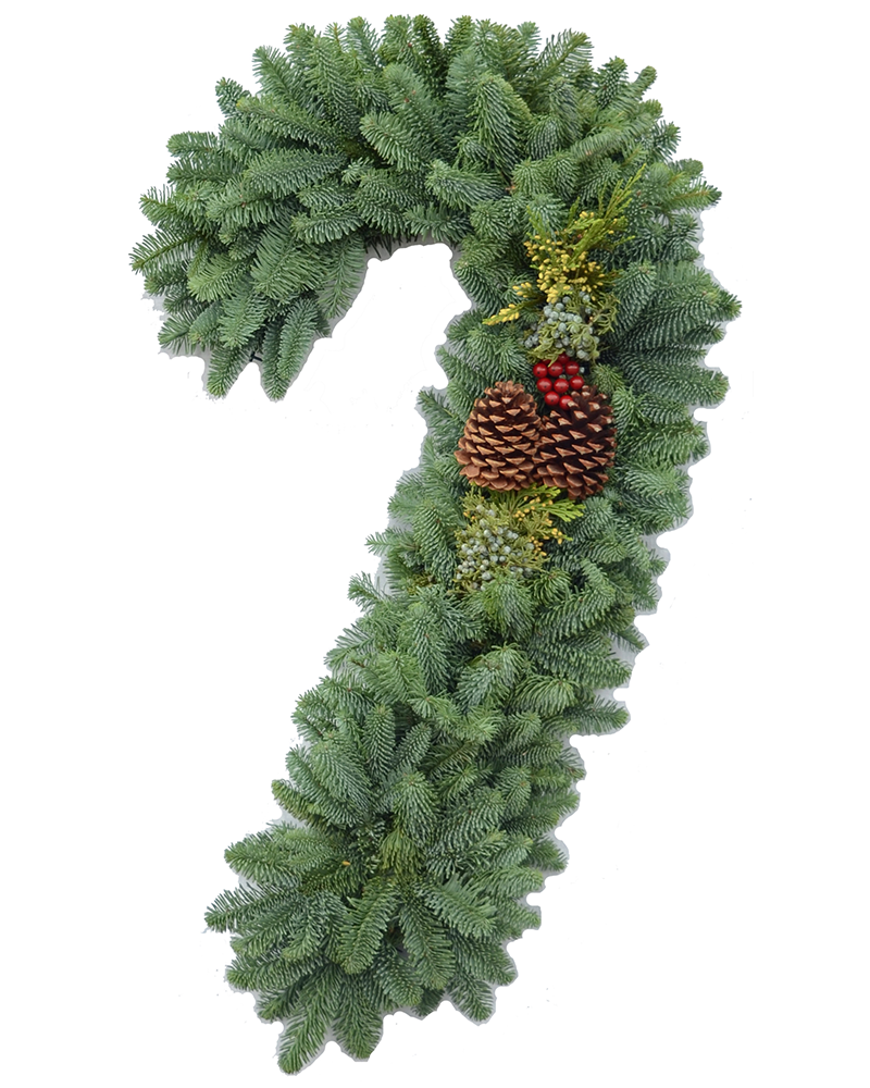 Swag Candy Cane with Berries 28"