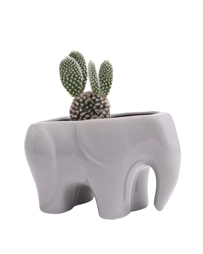 Elephant Pot Grey 3.5\"