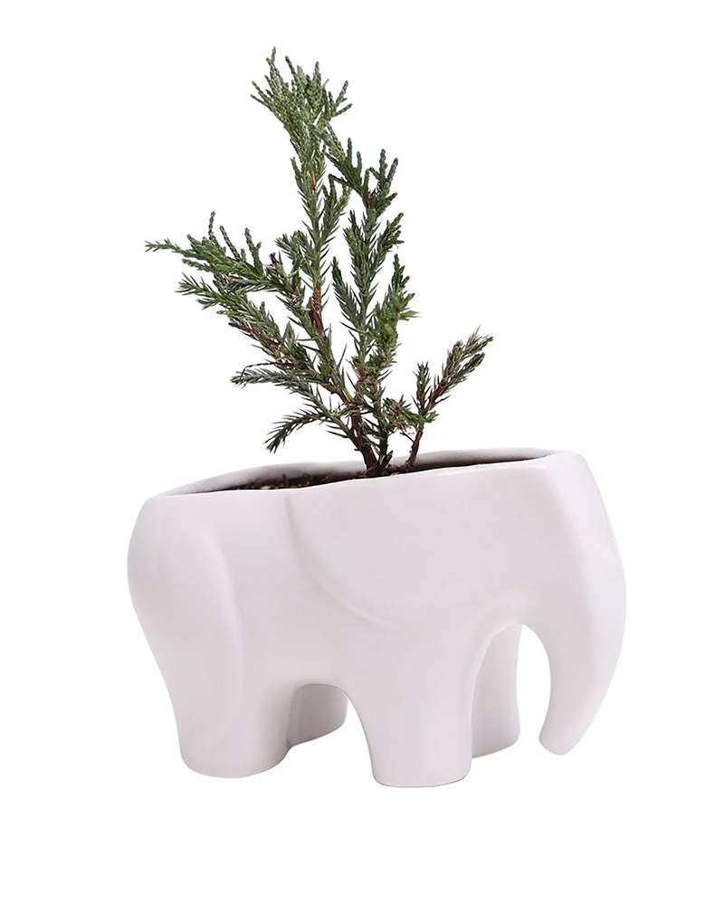 Elephant Pot White 3.5\"