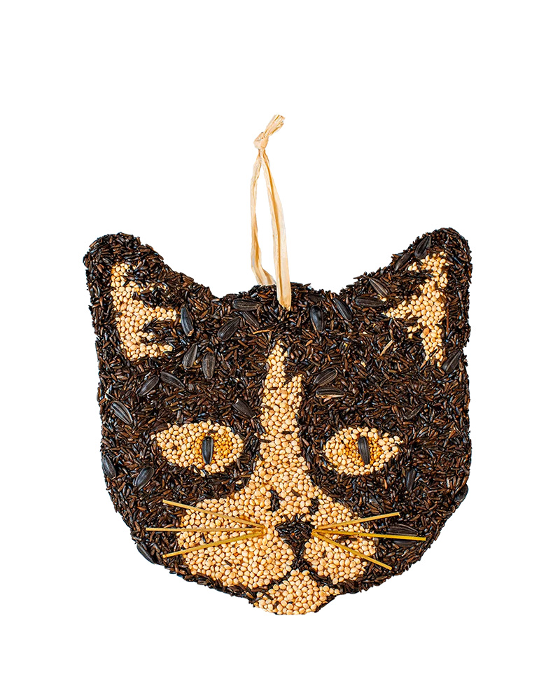 Cat Cookie Seed Character