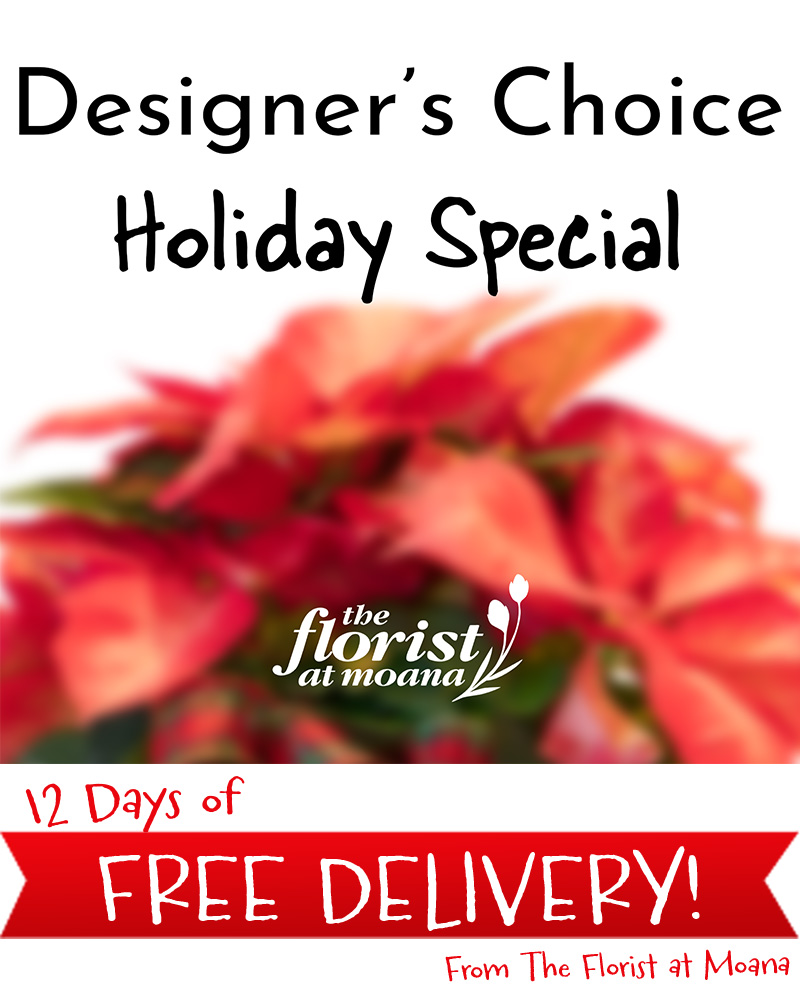 Designer's Choice Holiday Special from $70-$110