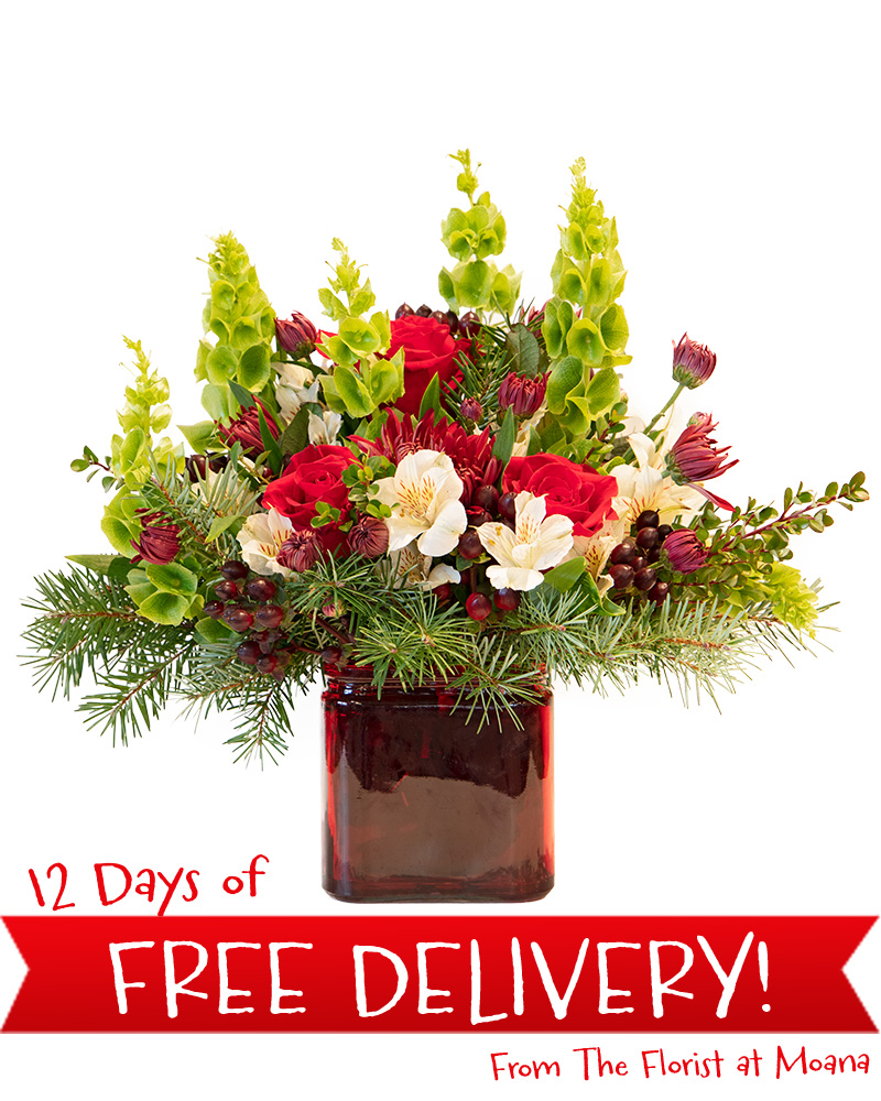 Sugar Plum Floral Arrangement from $55-$85