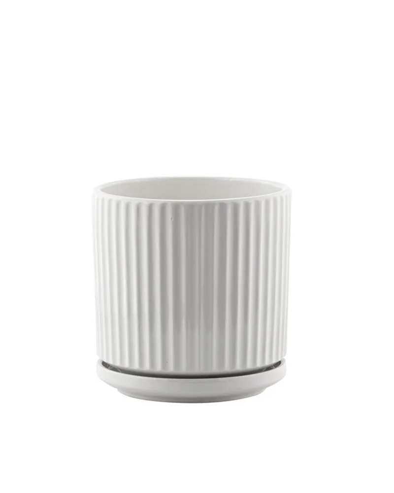 Small White Ridge Pot with Saucer 4.75"