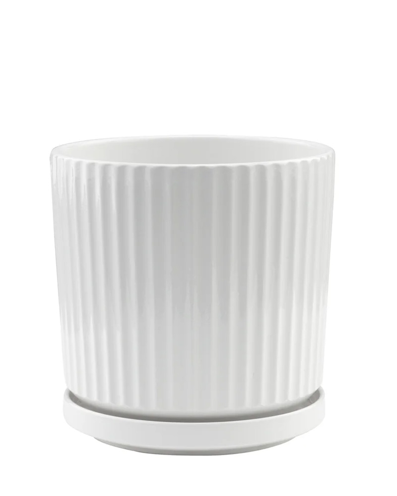 Medium White Ridge Pot with Saucer 5.5"