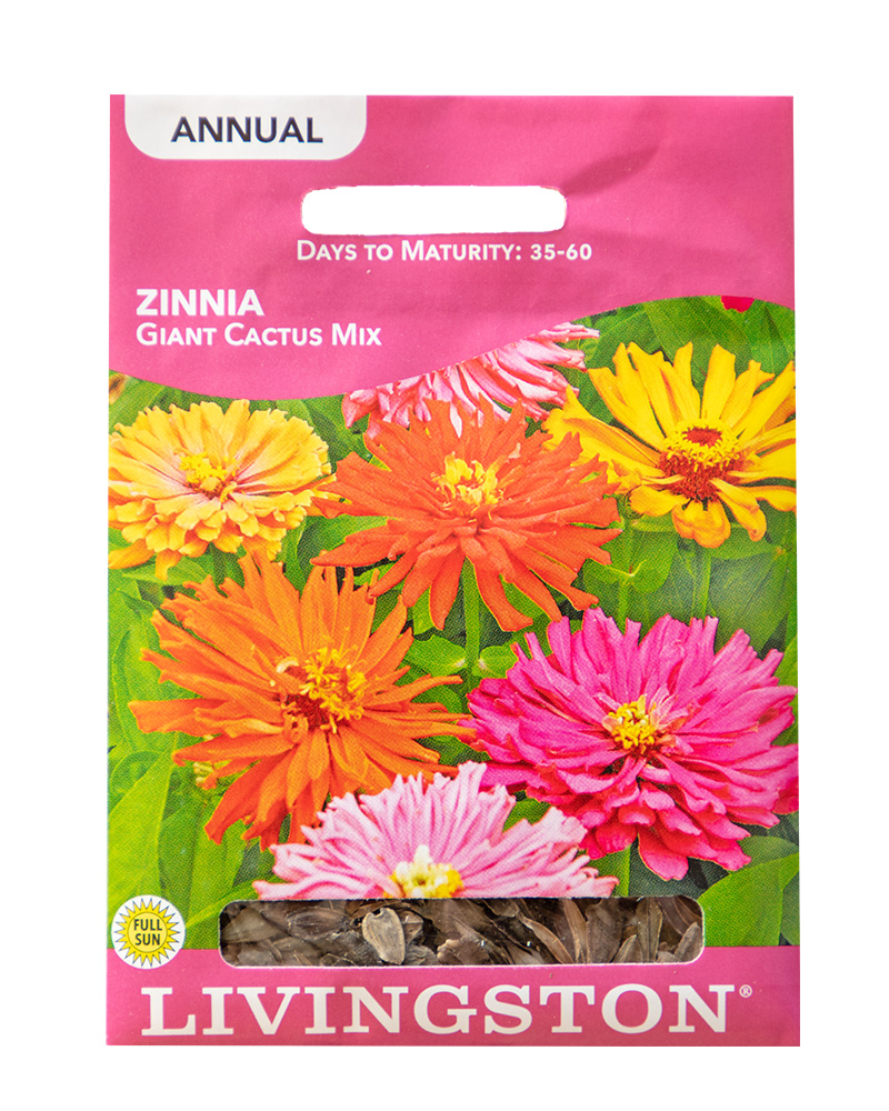 Zinnia Giant Cactus Mix