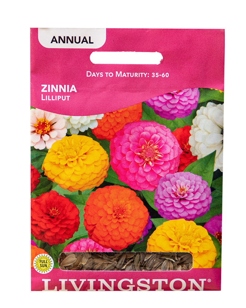 Zinnia Lilliput