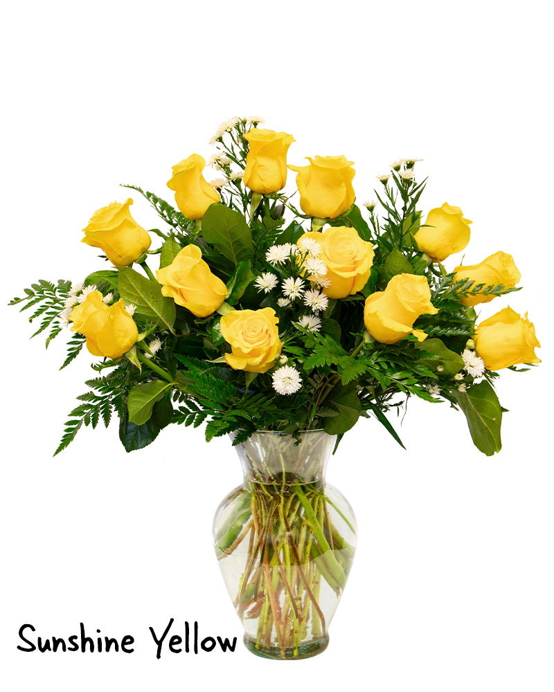 Dozen Roses \"Choose Color\" Floral Arrangement from $100-$150